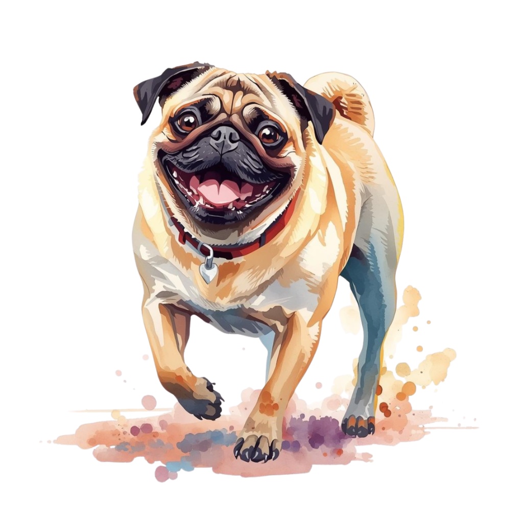 【ワンちゃんシリーズ】パグのクリップアート12.セット