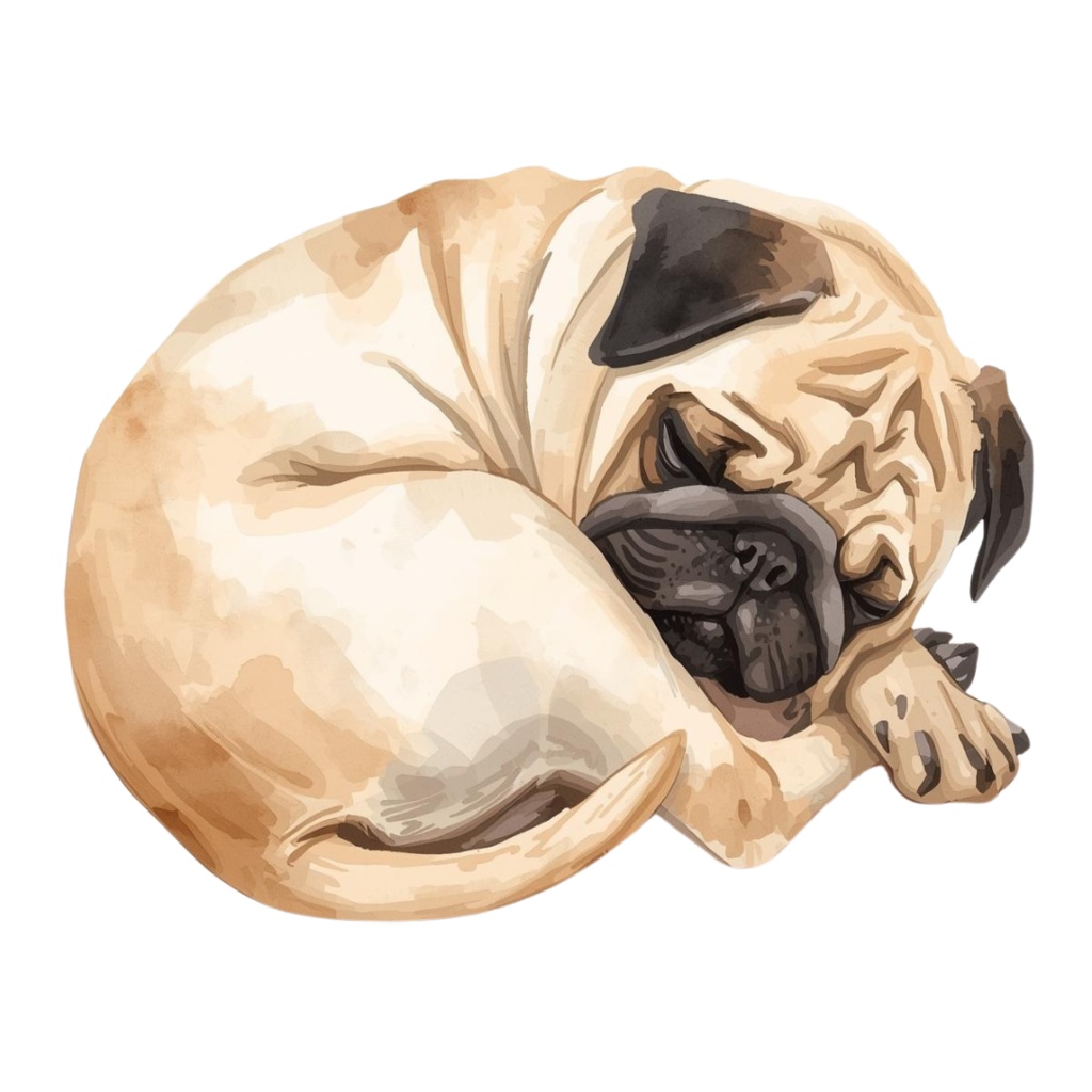 【ワンちゃんシリーズ】パグのクリップアート12.セット