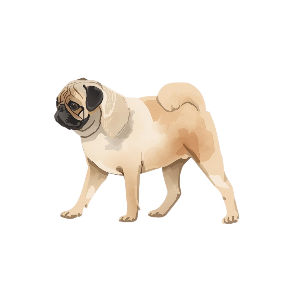 【ワンちゃんシリーズ】パグのクリップアート12.セット