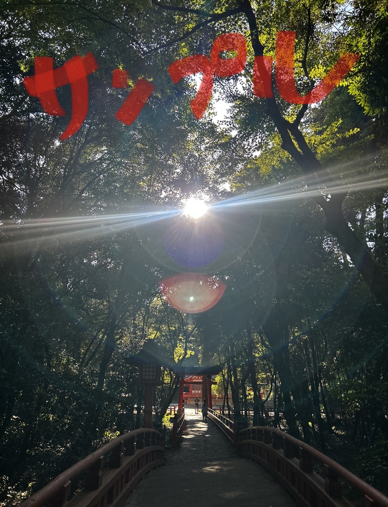 パワースポット写真