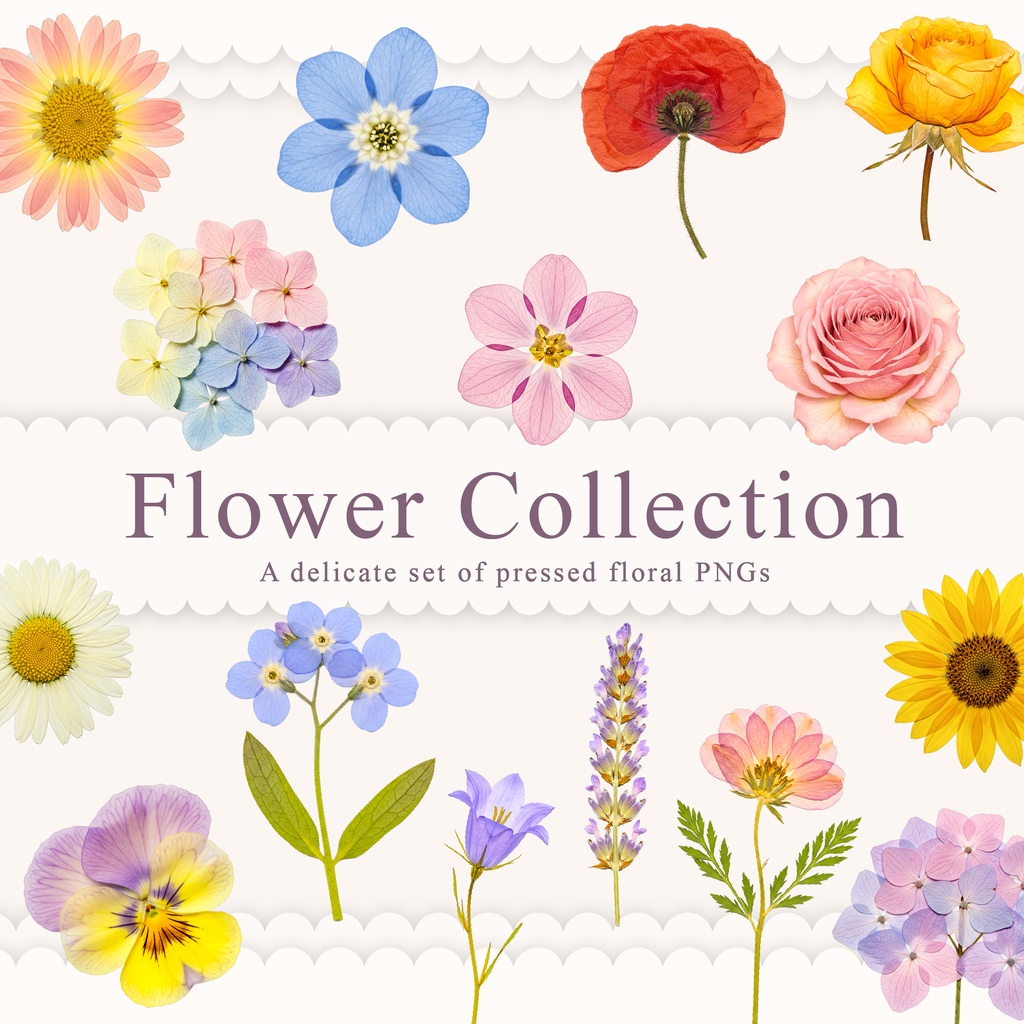 【著作権 / 商用フリー】　押し花の透過PNG画像 15点セット