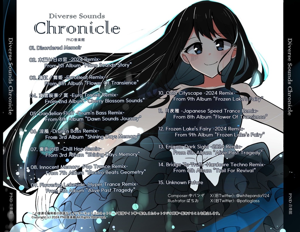 Diverse Sounds Chronicle