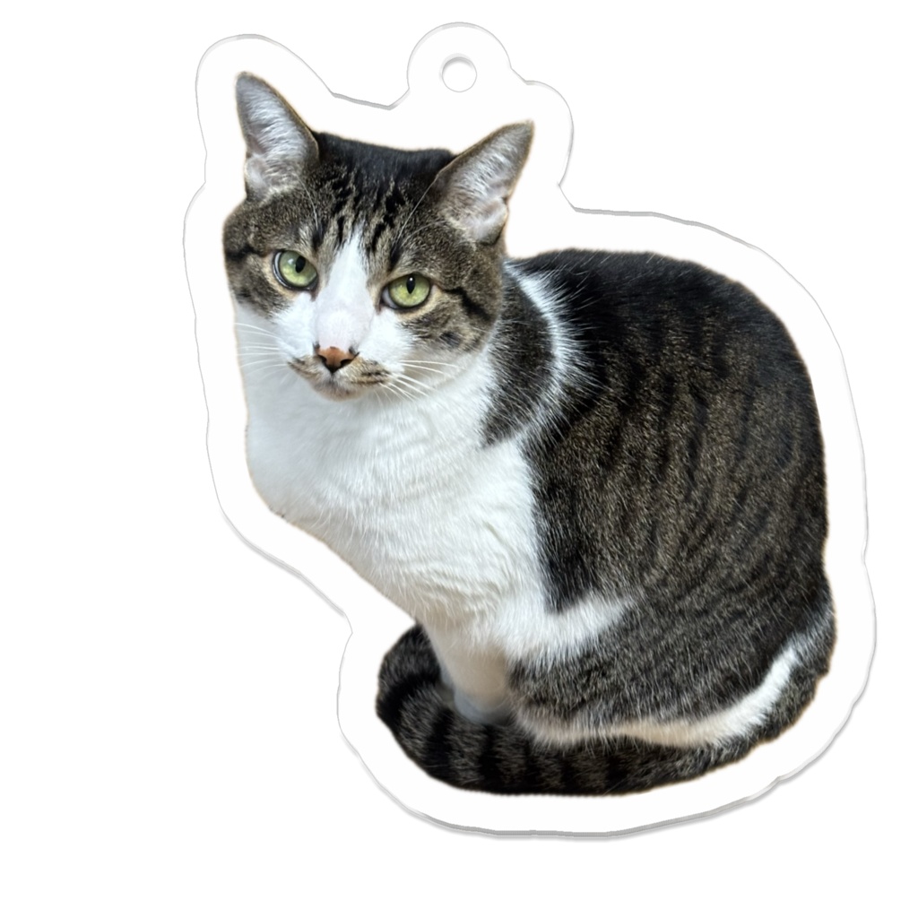 もるい家の猫アクリルキーホルダー
