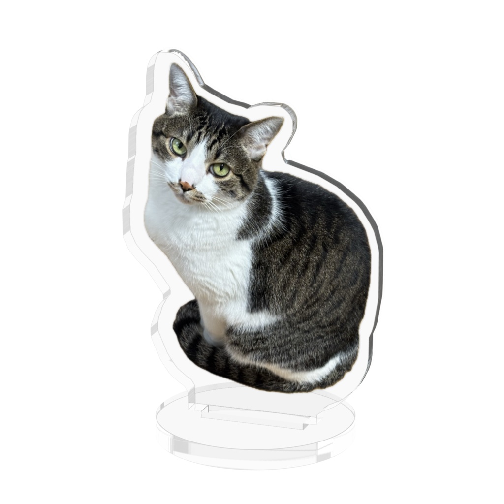うちの猫のアクリルフィギュア