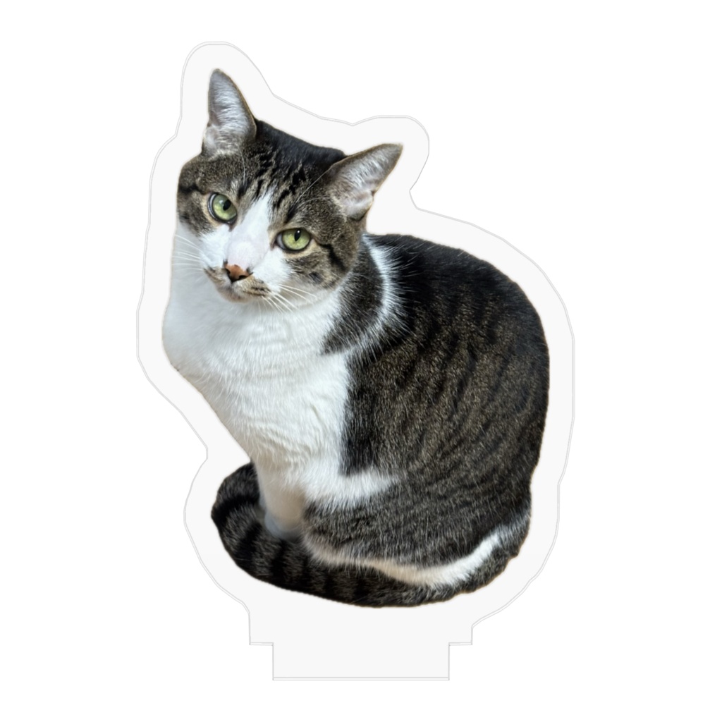 うちの猫のアクリルフィギュア