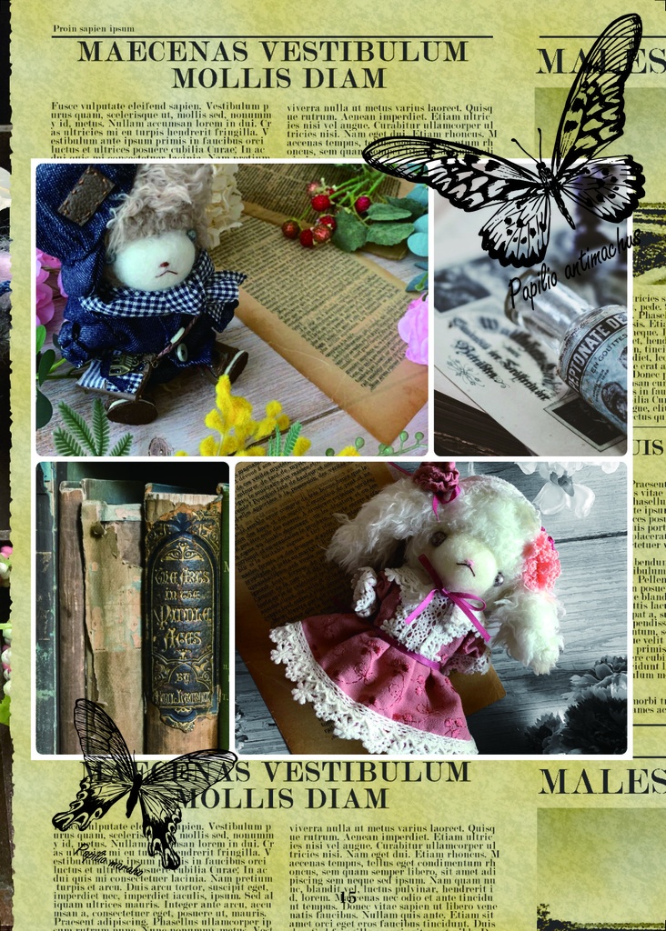 物語付き写真集「夏至とナスタチウム」