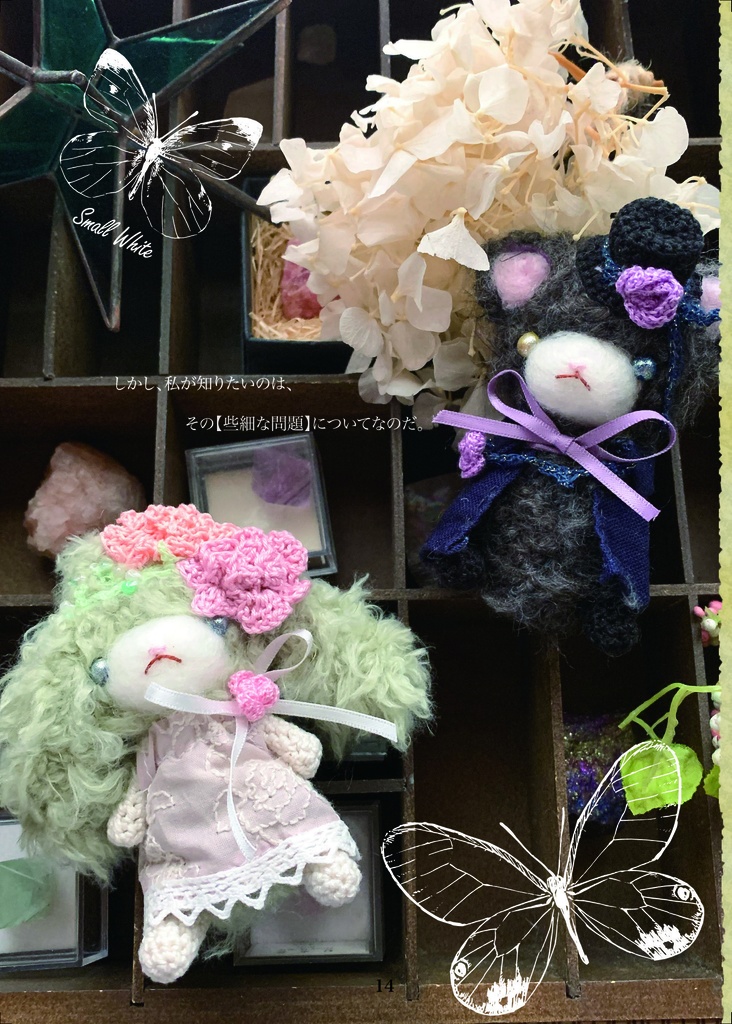 物語付き写真集「夏至とナスタチウム」