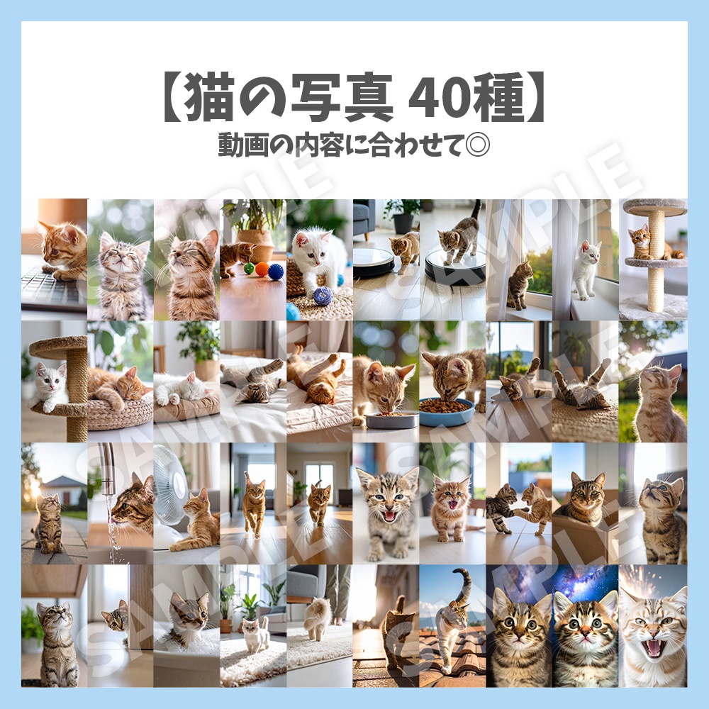 【縦型】ショート動画向け猫素材 40種セット【動画素材】