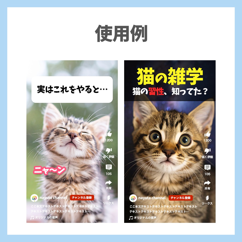 【縦型】ショート動画向け猫素材 40種セット【動画素材】