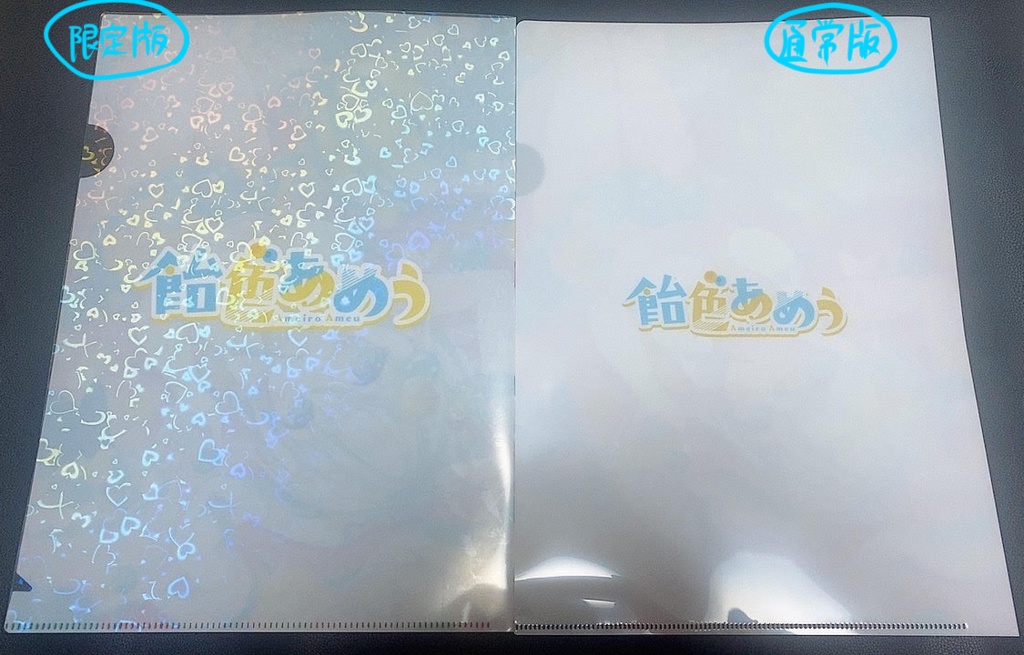 【常設】1周年記念 クリアファイル