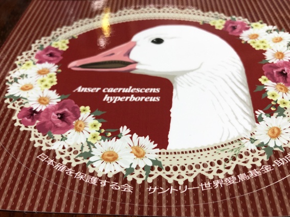 日本雁を保護する会「シジュウカラガン・ハクガンステッカー2種類セット」