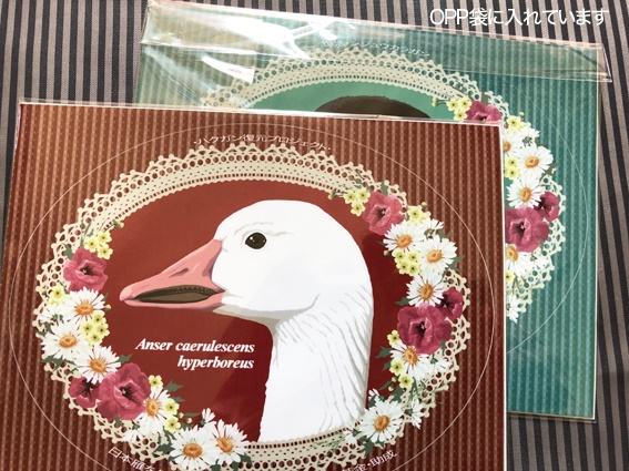 日本雁を保護する会「シジュウカラガン・ハクガンステッカー2種類セット」