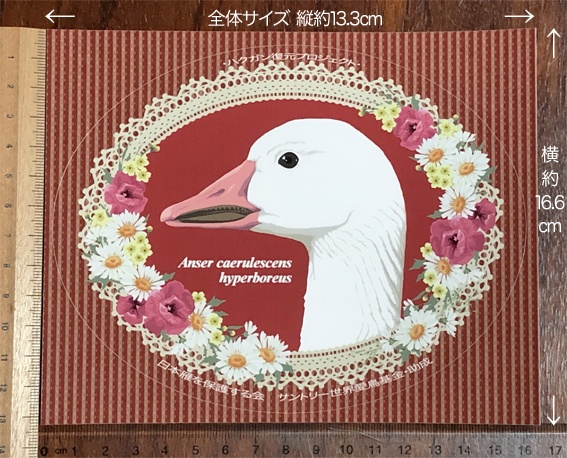 日本雁を保護する会「シジュウカラガン・ハクガンステッカー2種類セット」