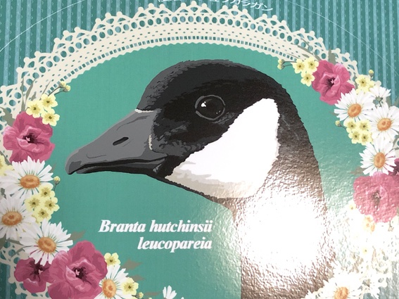 日本雁を保護する会「シジュウカラガン・ハクガンステッカー2種類セット」