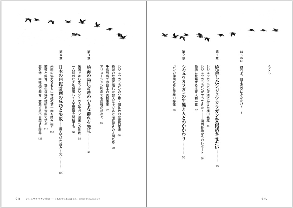 日本雁を保護する会「シジュウカラガン物語」~しあわせを運ぶ渡り鳥、日本の空にふたたび!(特典付き)(送料込み商品)