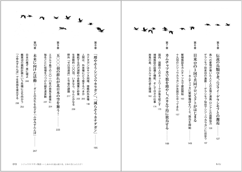日本雁を保護する会「シジュウカラガン物語」~しあわせを運ぶ渡り鳥、日本の空にふたたび!(特典付き)(送料込み商品)
