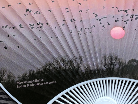 マガンが可愛いウチワ(送料込み商品)