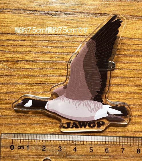 シジュウカラガンアクリルバッジ（寄付付き商品）