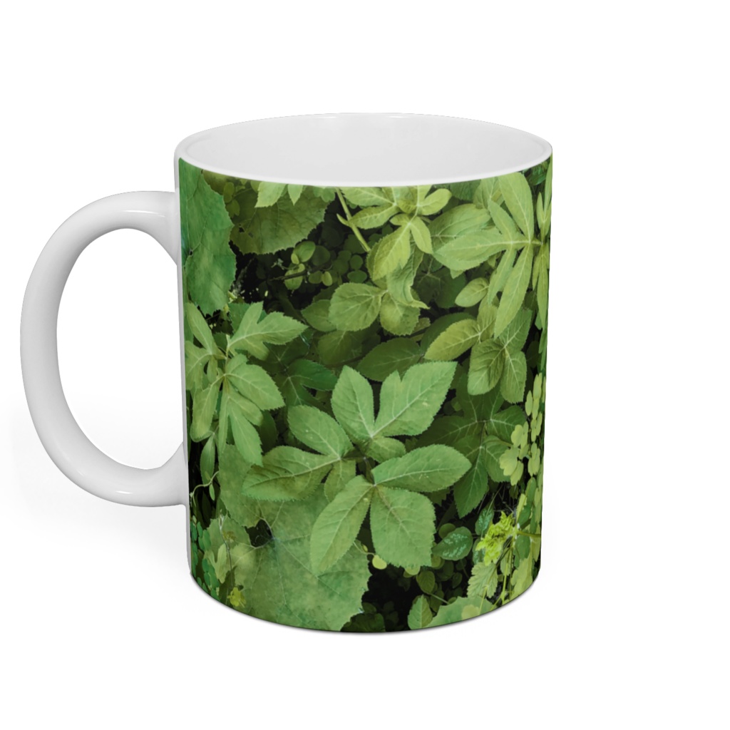 野原マグカップ(フキ/アキカラマツ/ハナウド)