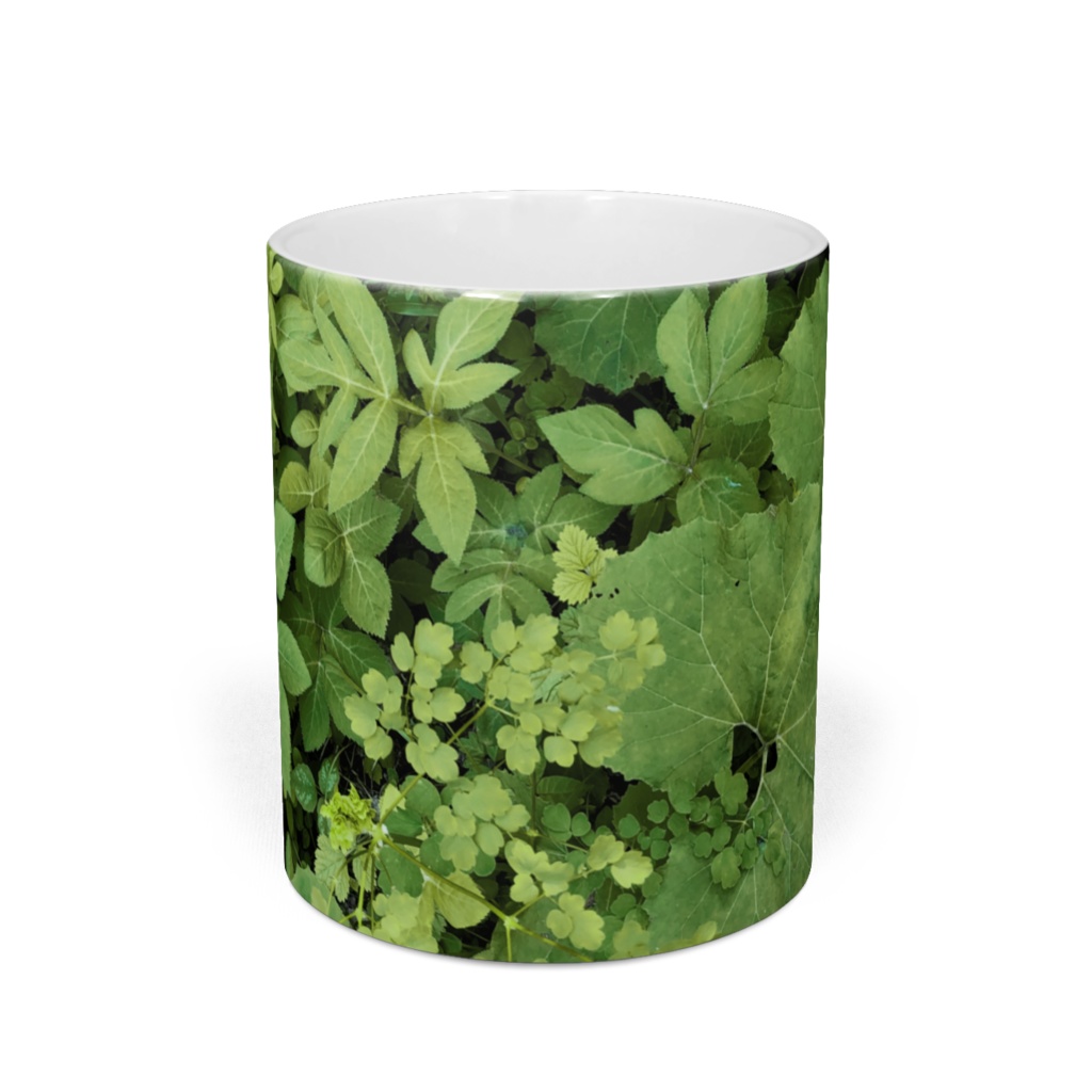 野原マグカップ(フキ/アキカラマツ/ハナウド)