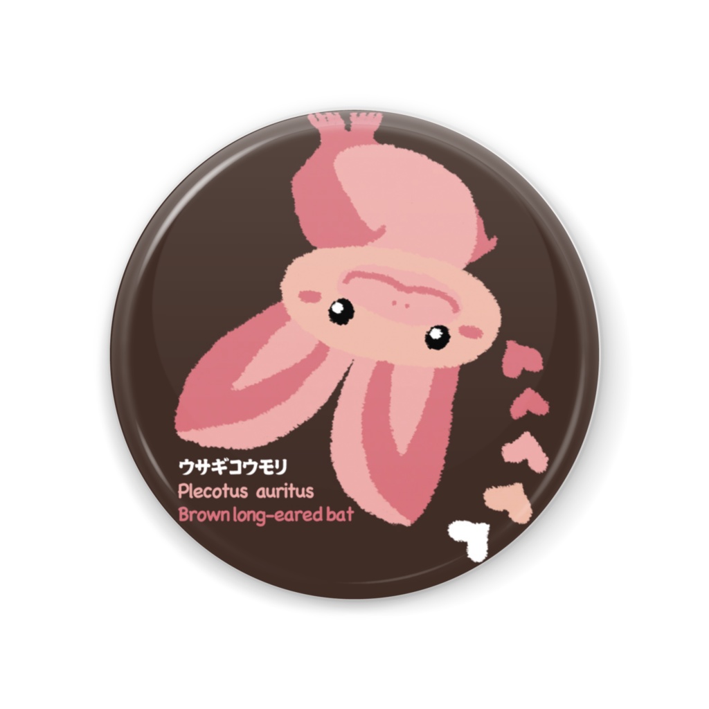 ウサギコウモリ缶ミラー