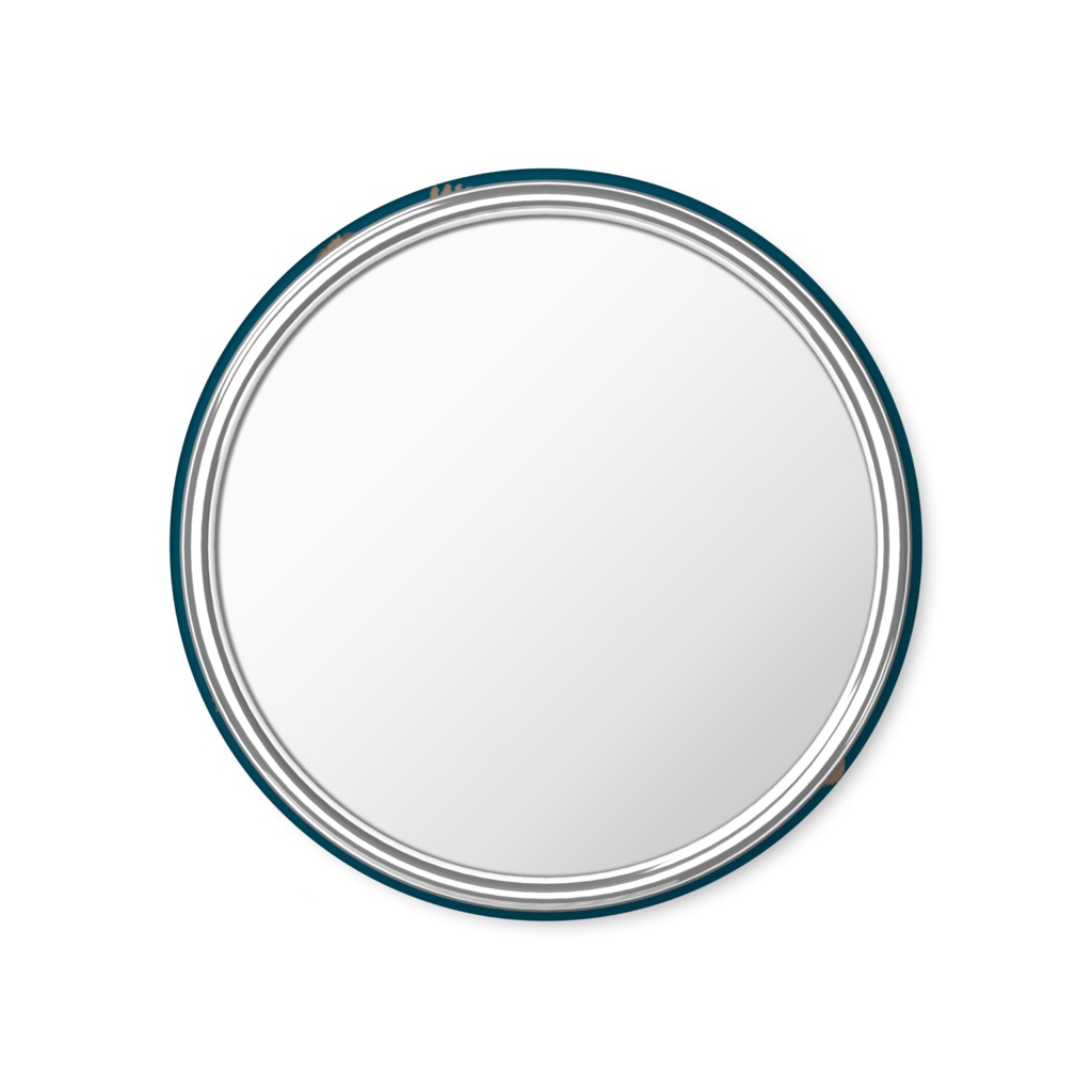 コキクガシラコウモリ缶ミラー