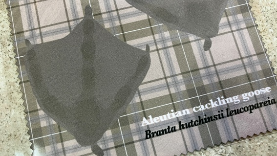 雁の実物大足型眼鏡拭きマガン/シジュウカラガン(各1枚)