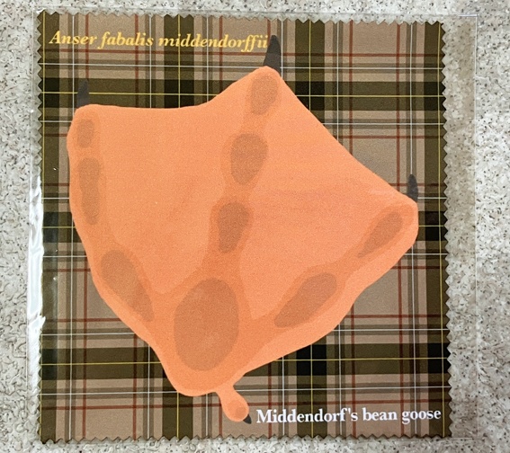 雁の実物大足型眼鏡拭きハクガン/オオヒシクイ(各1枚)