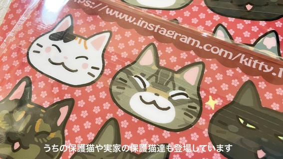 保護猫ボランティア応援A5クリアファイル(2枚入り)(寄付付き商品)