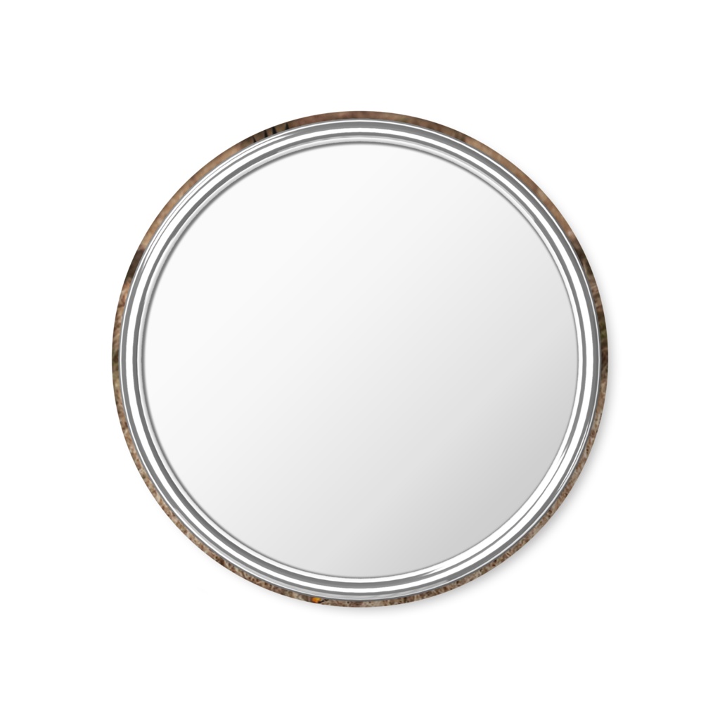 オオワシ缶ミラー