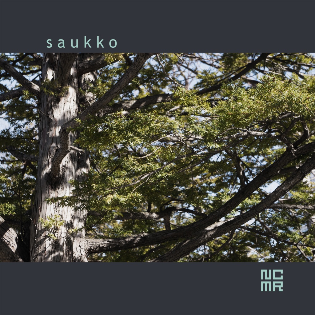 saukko [Digital]