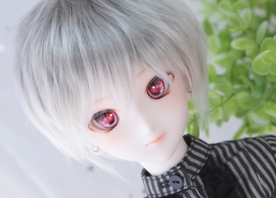 DDH-07(SW肌) カスタムヘッド ノア-noah-