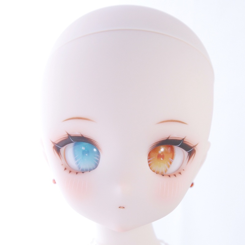 DDH-27(SW肌)カスタムヘッド-リティ-