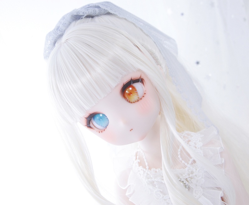 DDH-27(SW肌)カスタムヘッド-リティ-