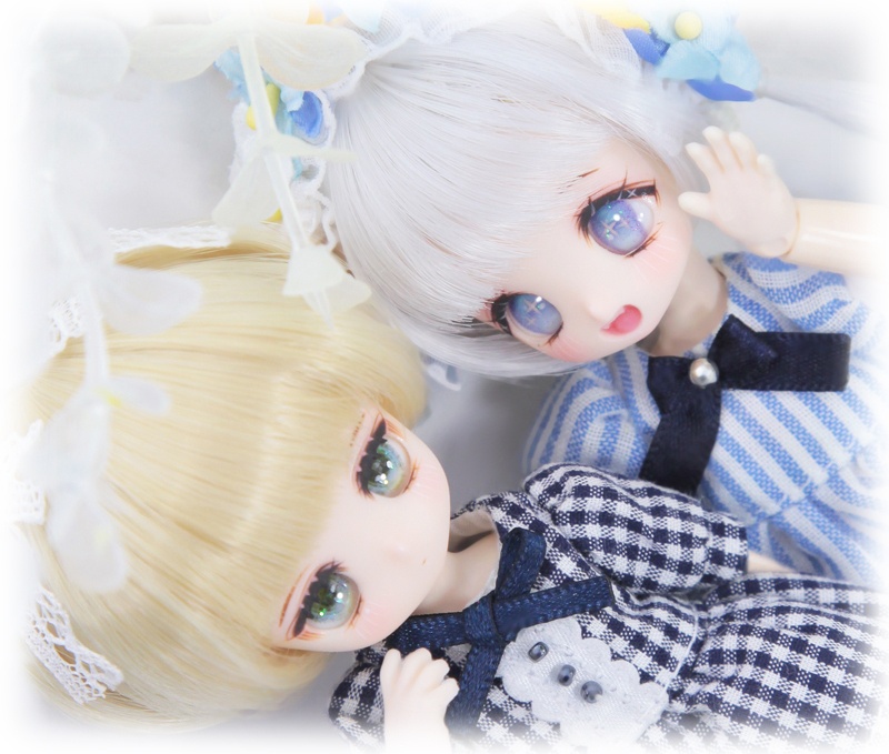 OB(TAISA)カスタムヘッド-フローズンブルー-