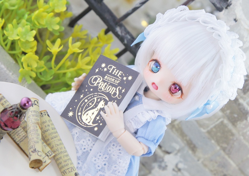 OB(KAISER)カスタムヘッド-リディ-