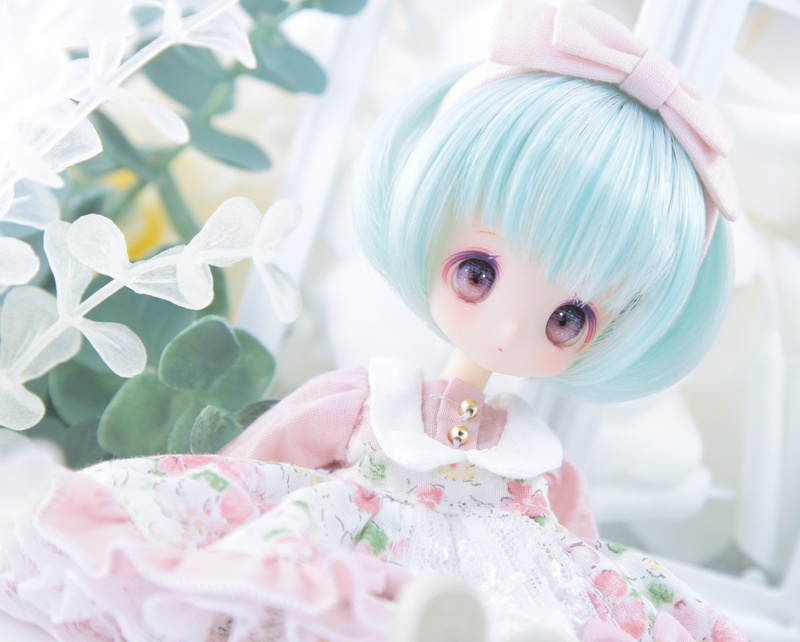 OB(TAISA)カスタムヘッド-花束蝶々のティアナ-