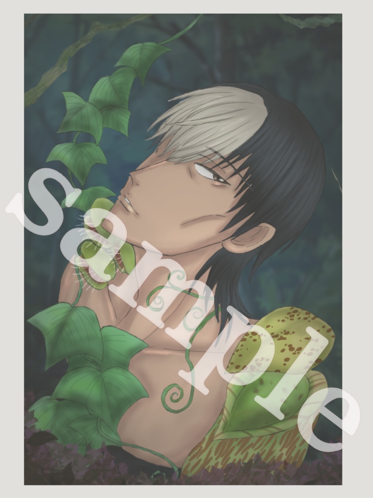 知念寛 3絵柄 ポストカードセット