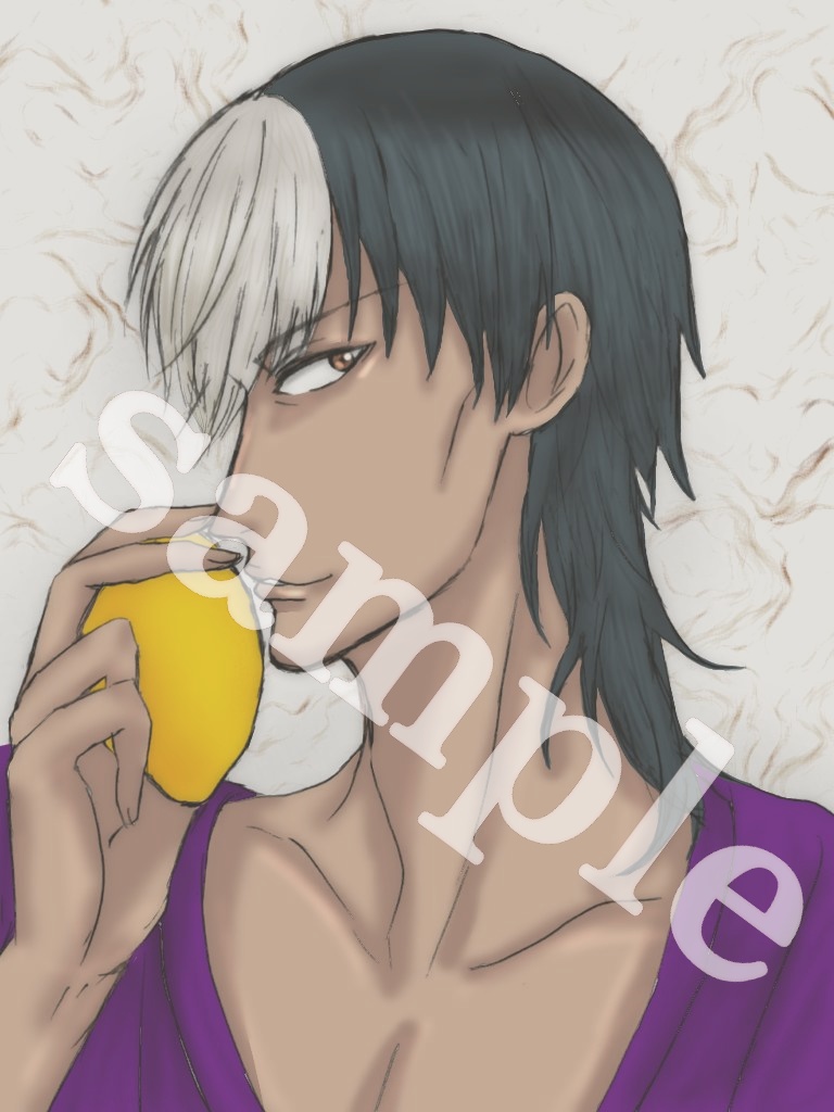 コピーイラスト本「沖縄妖精幻想絵帖」