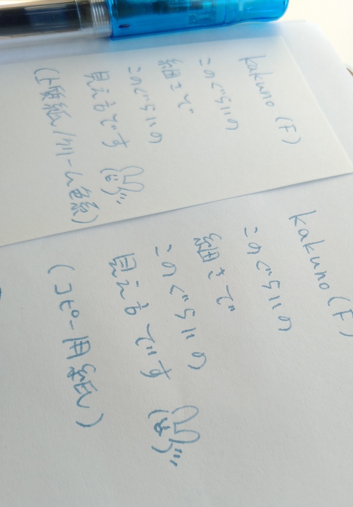 群雨(万年筆インク)