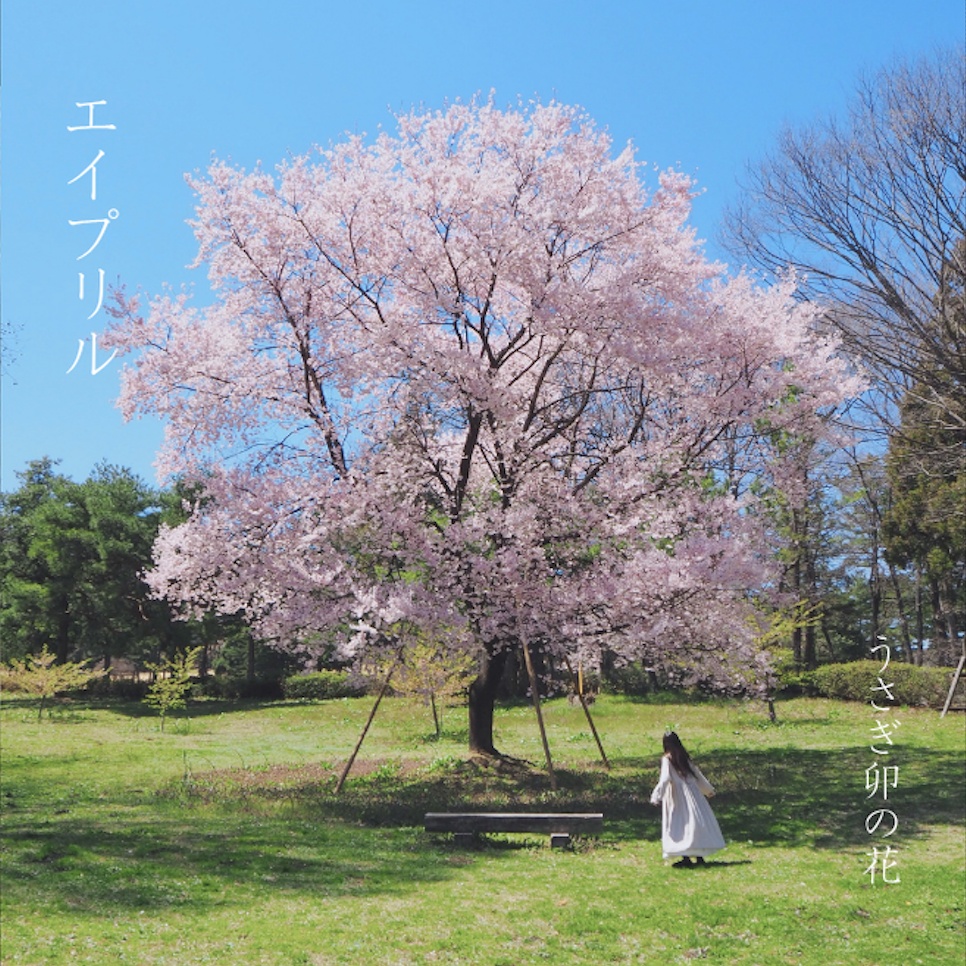 うさぎ卯の花 1stAlbum「エイプリル」通常盤