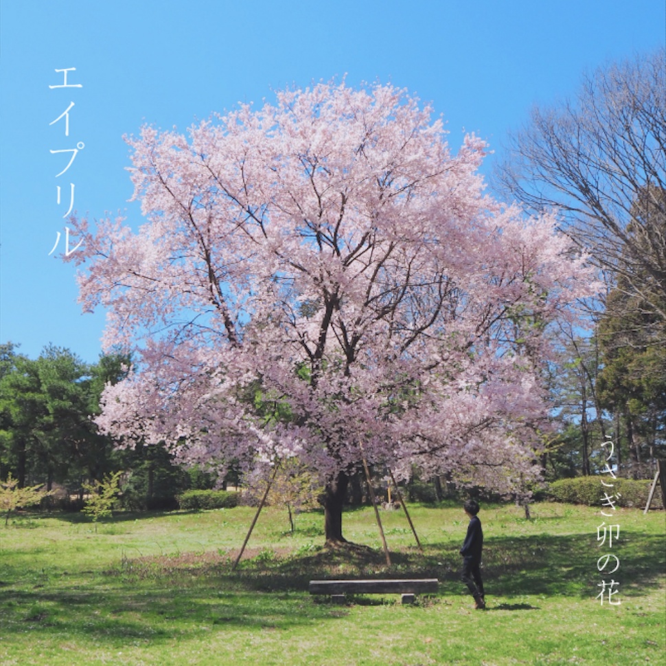 うさぎ卯の花 1stAlbum「エイプリル」着せ替えジャケット付き