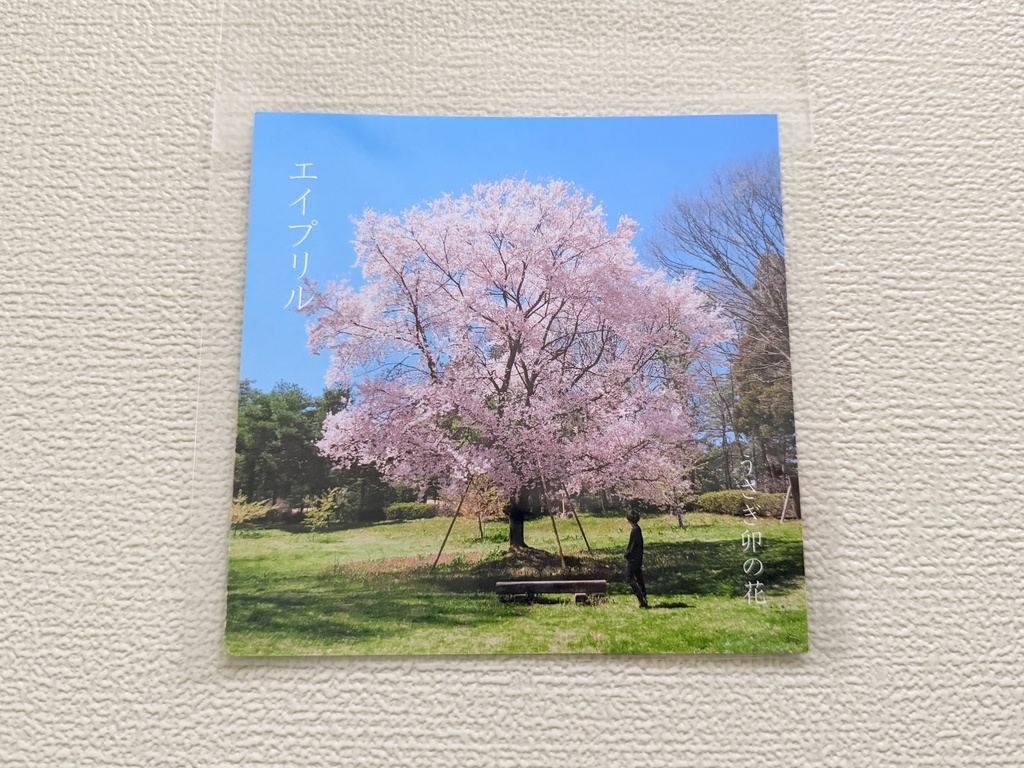 うさぎ卯の花 1stAlbum「エイプリル」着せ替えジャケット付き