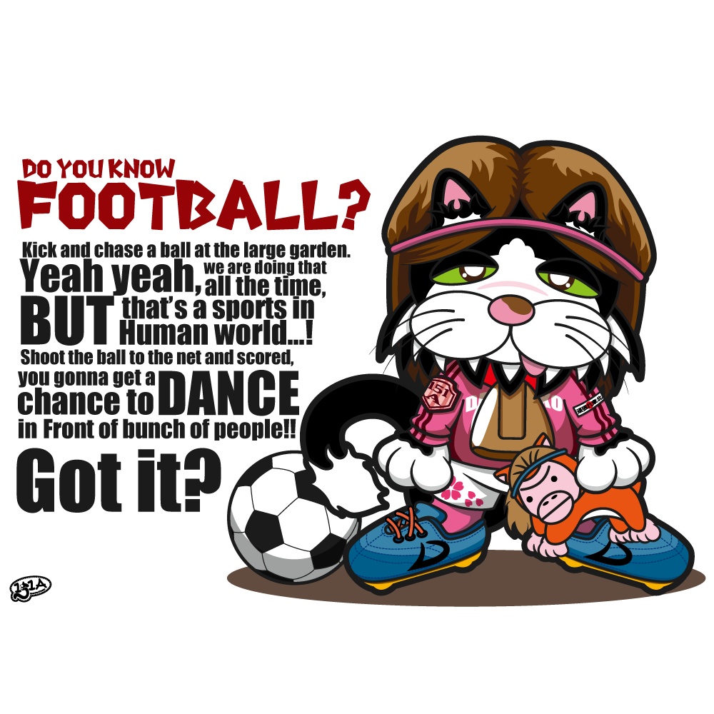 ぶーのサッカー