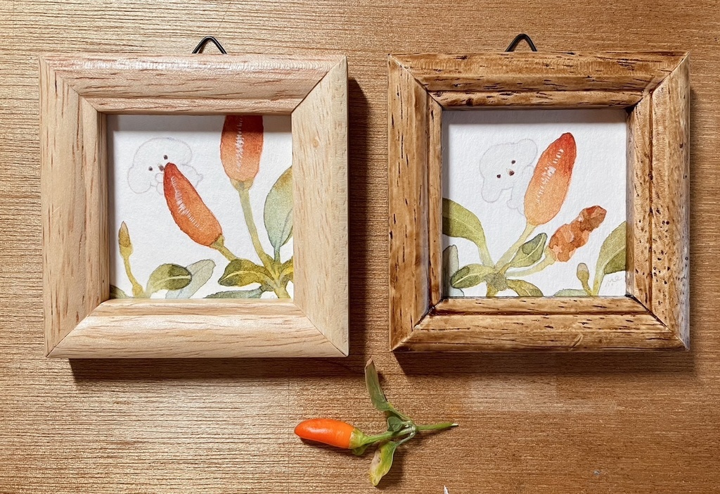 とうがらし【額入ミニ原画】