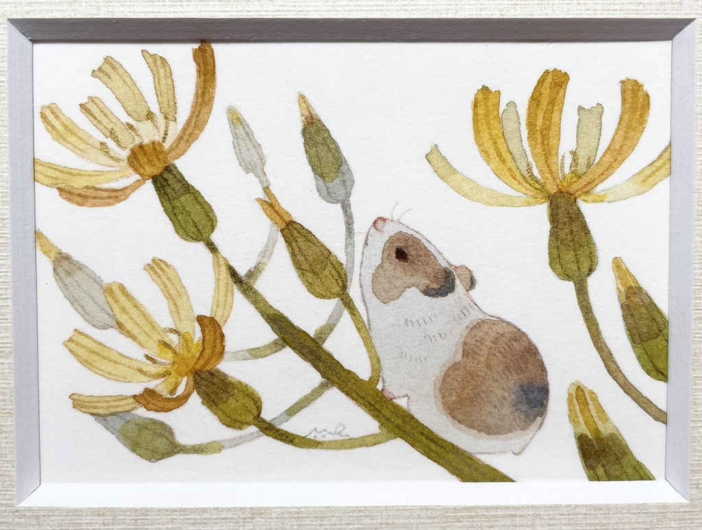 風のにおい【額付ミニ原画】