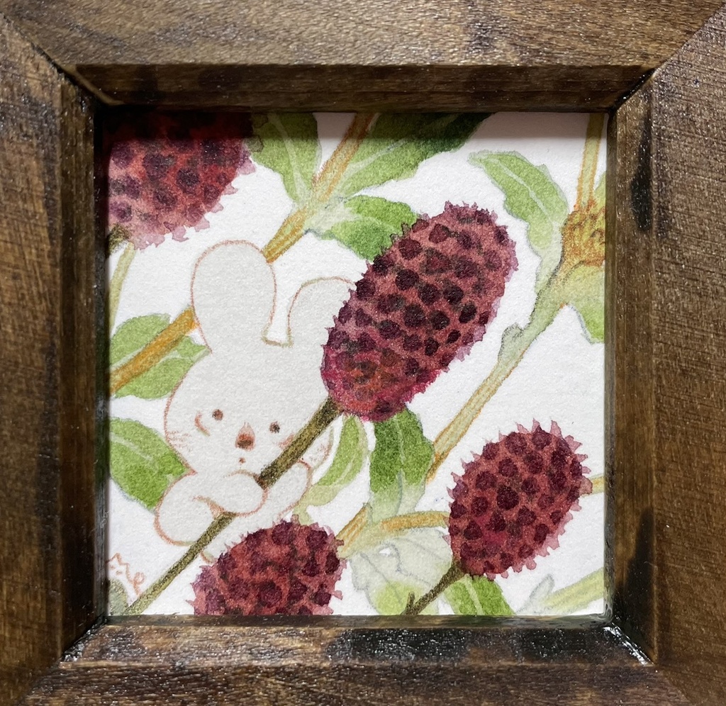 花のはなし【額付ミニ原画】