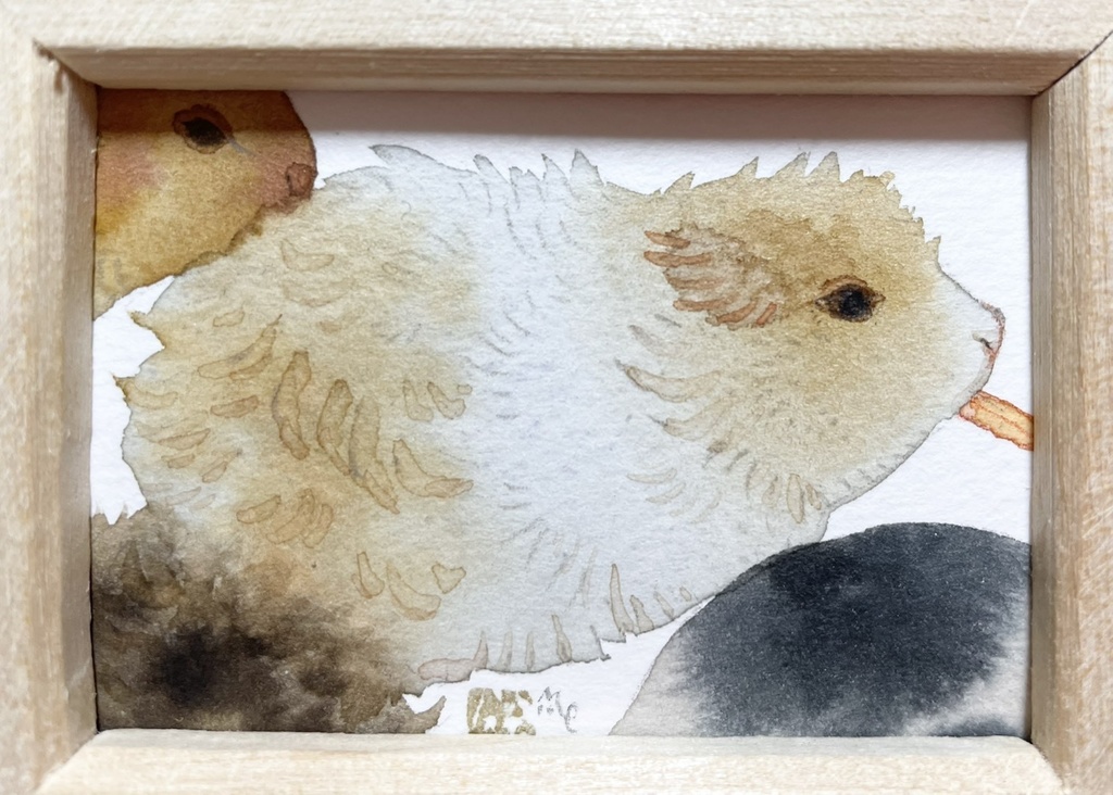 天竺鼠図【額付ミニ原画】