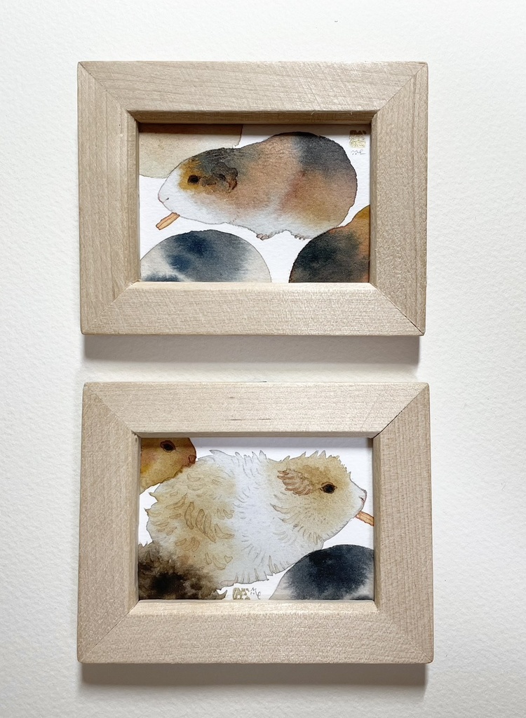 天竺鼠図【額付ミニ原画】