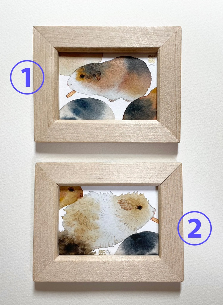 天竺鼠図【額付ミニ原画】